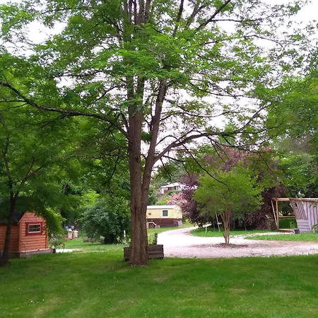 Camping Graines De Nature - Insolites