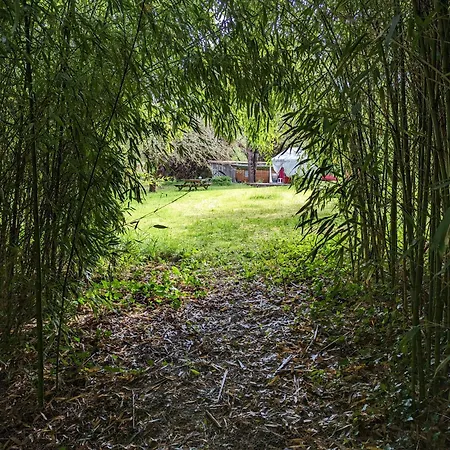 Camping Graines De Nature - Insolites