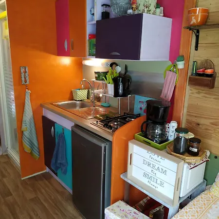 Graines De Nature - Insolites * Saint-Eutrope-de-Born