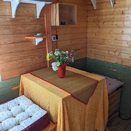 Graines De Nature - Insolites Saint-Eutrope-de-Born