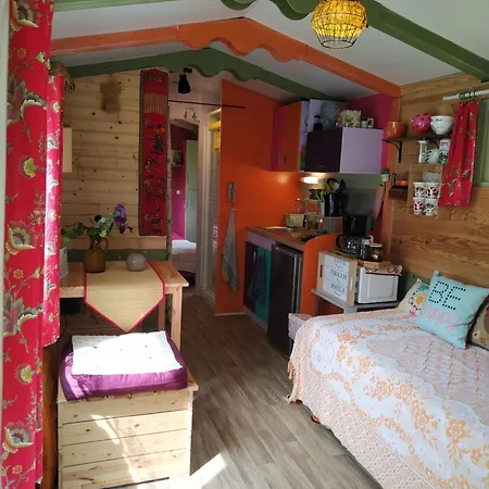 Graines De Nature - Insolites Camping