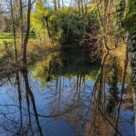 Graines De Nature - Insolites Camping