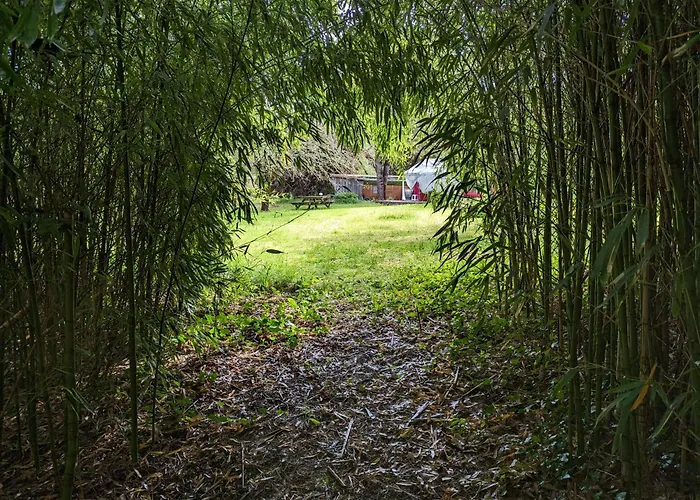 キャンプ場 Graines De Nature - Insolites