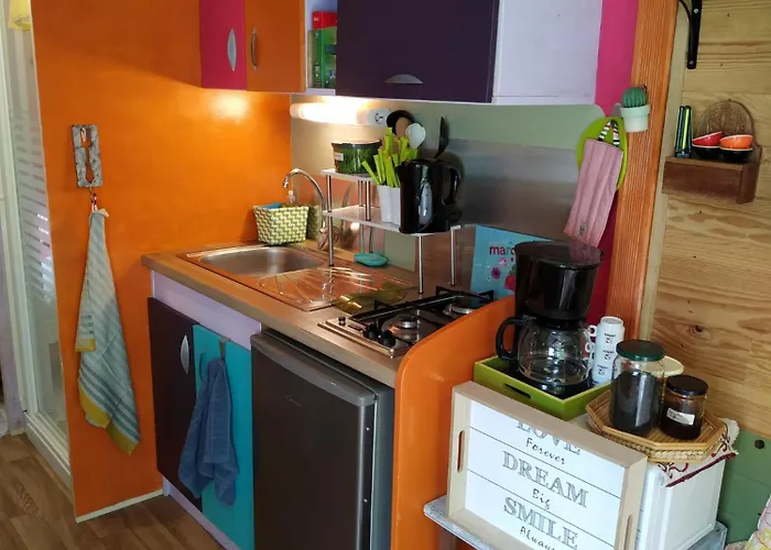 Graines De Nature - Insolites * Saint-Eutrope-de-Born