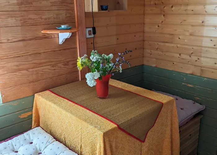 Graines De Nature - Insolites Saint-Eutrope-de-Born