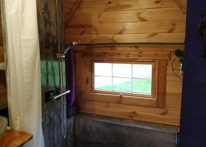 Graines De Nature - Insolites