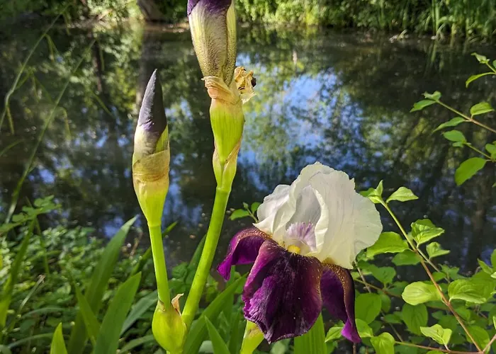 Graines De Nature - Insolites Saint-Eutrope-de-Born