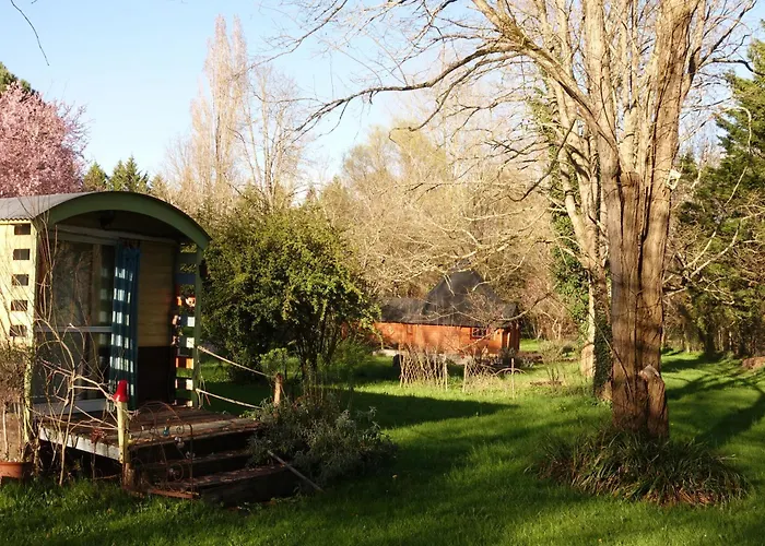 Graines De Nature - Insolites Saint-Eutrope-de-Born